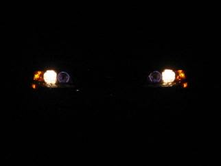 eyes light.JPG