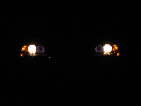 eyes light.JPG
