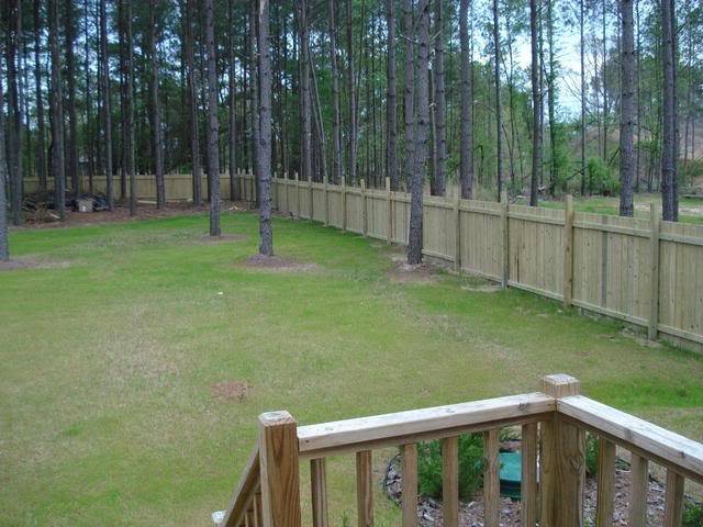 fencefromdeck.jpg