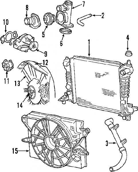 FIP010.jpg