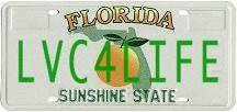 FL-PLATE2.jpg