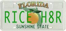 FL-PLATE4.jpg
