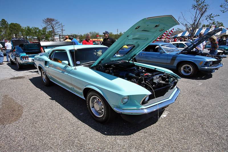 Fords16.jpg