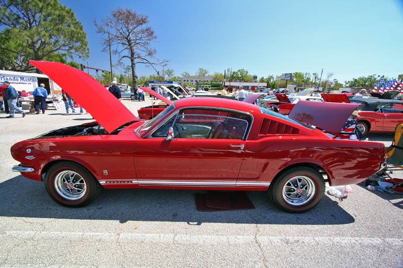 Fords8.jpg
