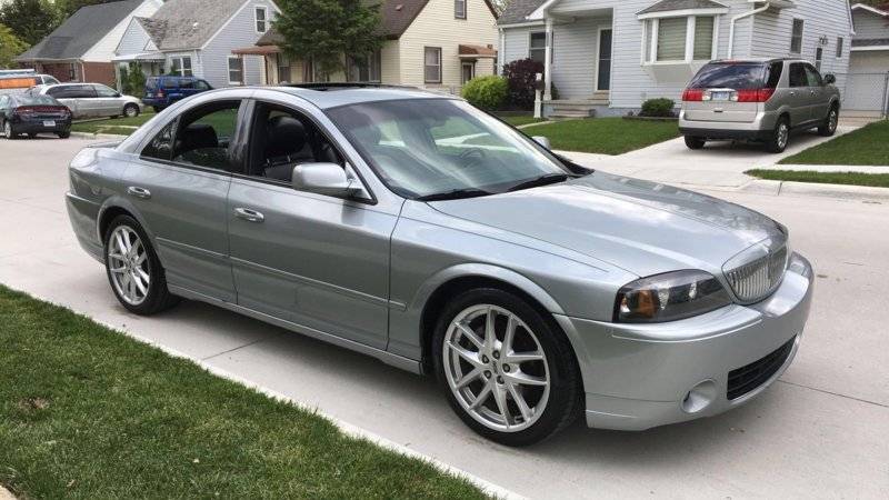 Freshly waxed on Bailey.jpg