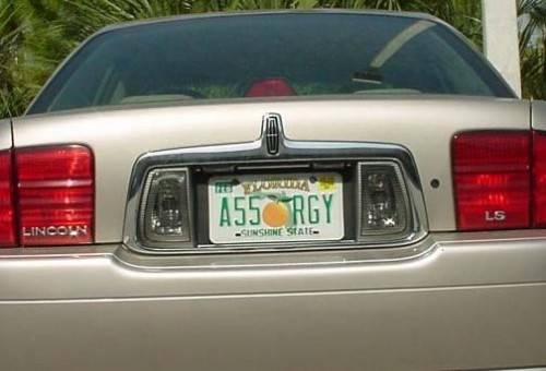 funny-license-plates-ass-orgy-florida-500x340.jpg