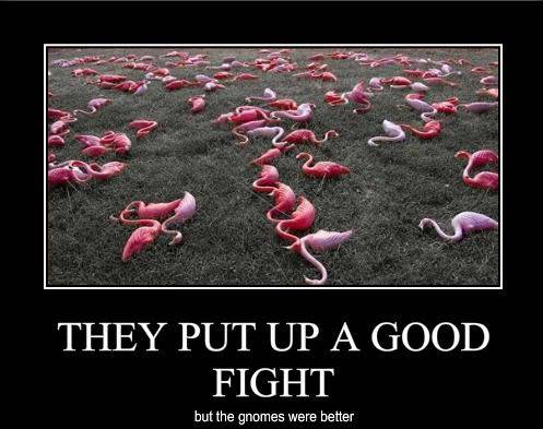funny-pictures-the-lawn-gnomes-have.jpg