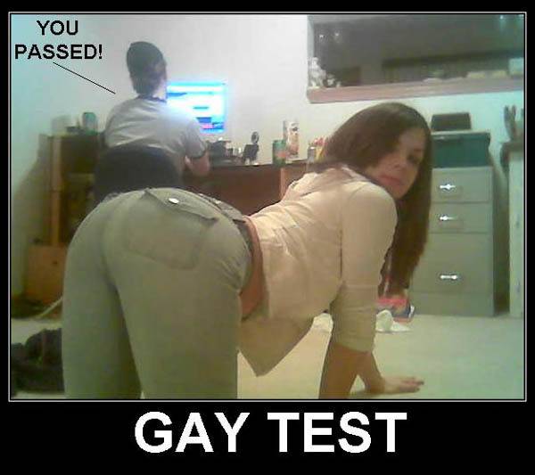 gay test3.jpg