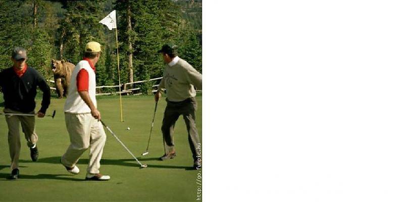 Gimme Putt.jpg