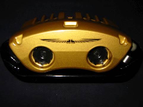 goldtbird.jpg