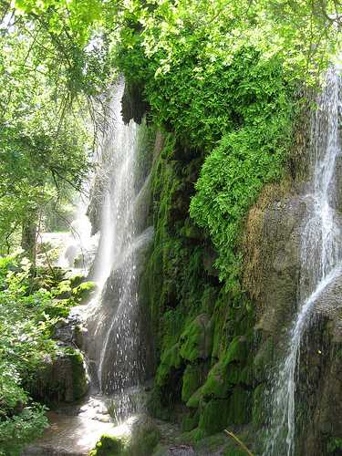 gormanfalls2_1.jpg
