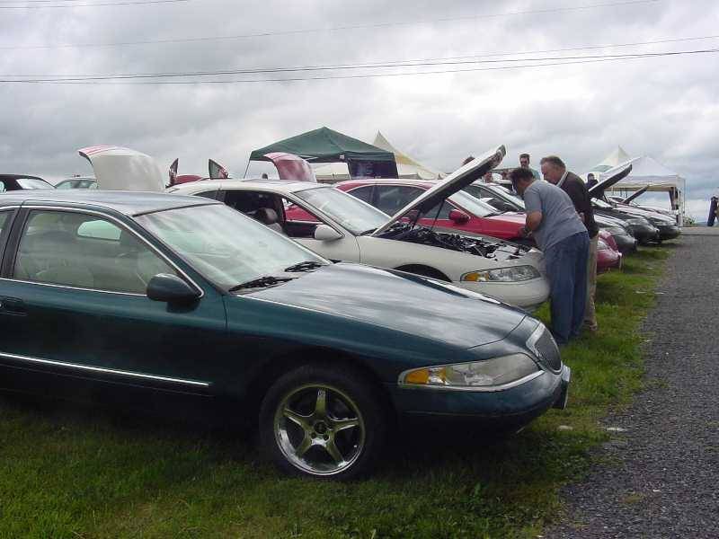 group1.jpg