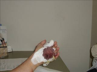 hand2_0001.jpg