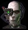 head_borg.jpg