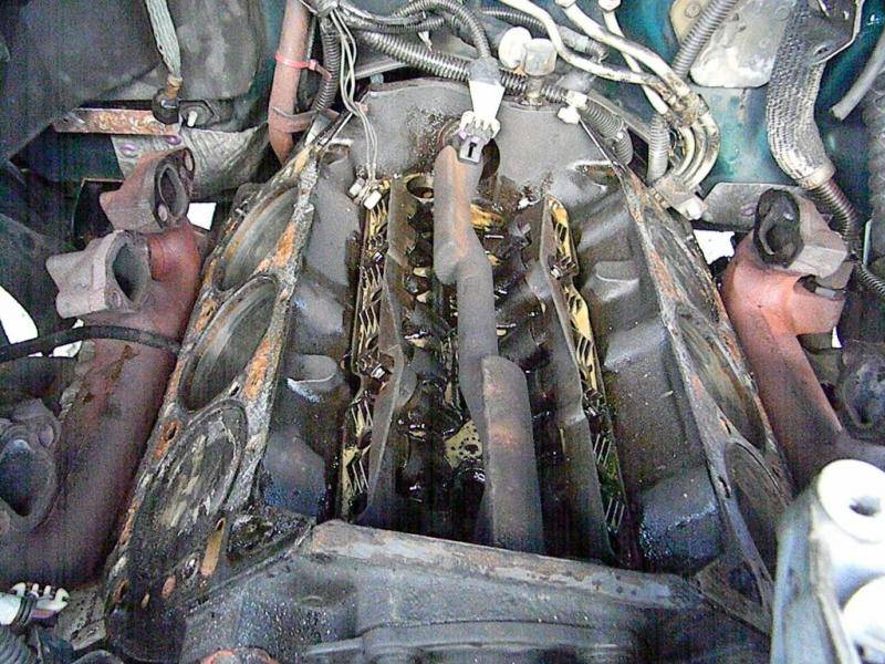 Heads Removed (2).jpg