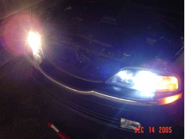 hid in.jpg