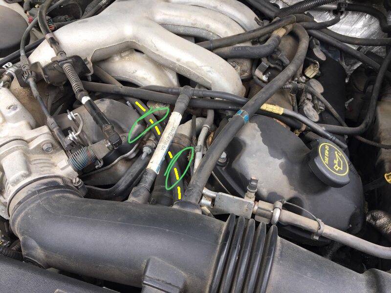hose.jpeg