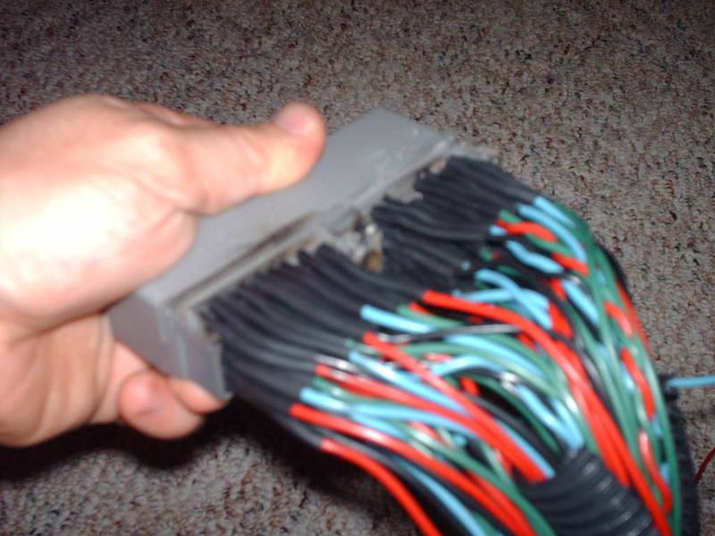 HPIM0636.jpg