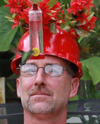hummerhatACTION1.jpg