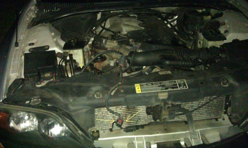 IMAG0013-3.jpg