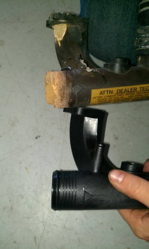 IMAG0185.jpg