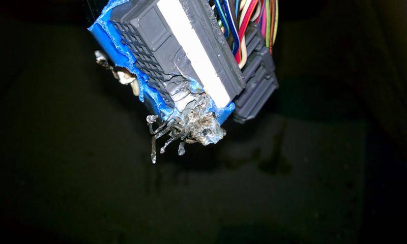 IMAG0270.jpg