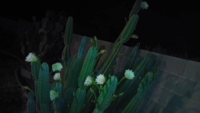 IMAG0283.jpg