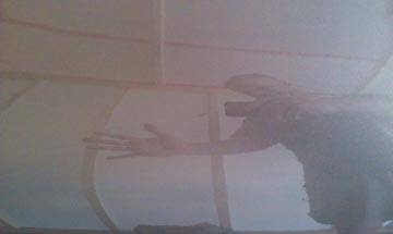 IMAG0410.jpg