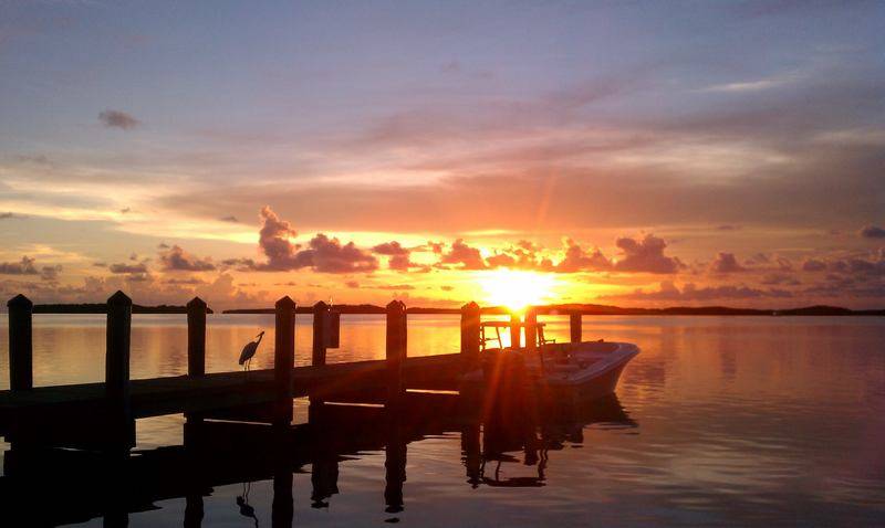 IMAG0446.jpg