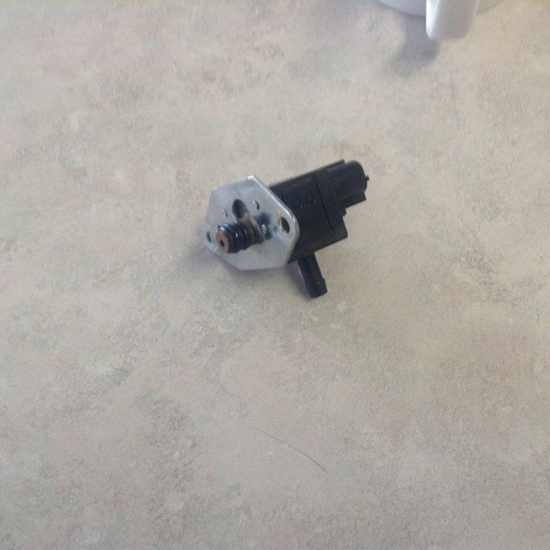 image.jpeg
