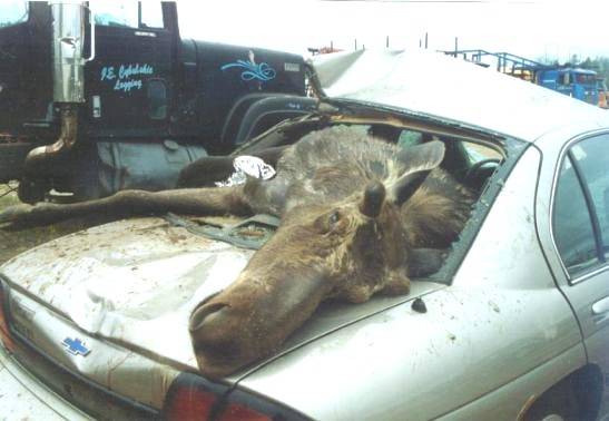 image002.jpg