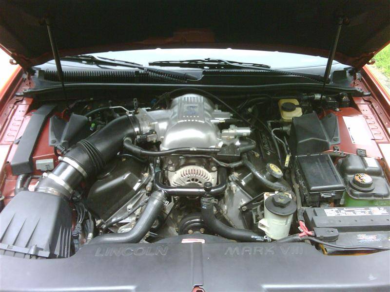 IMG00814 (Medium).jpg