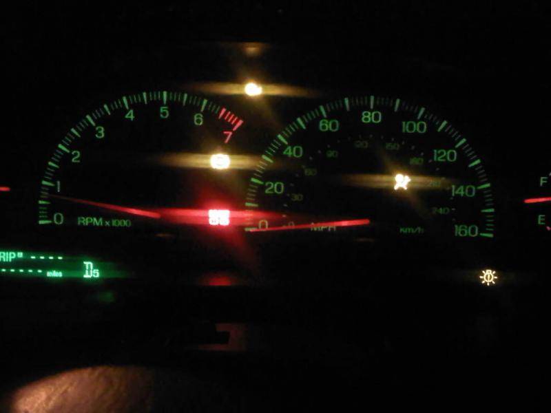 IMG01098-20110203-0625.jpg