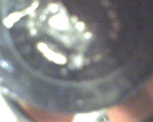 img030.jpg