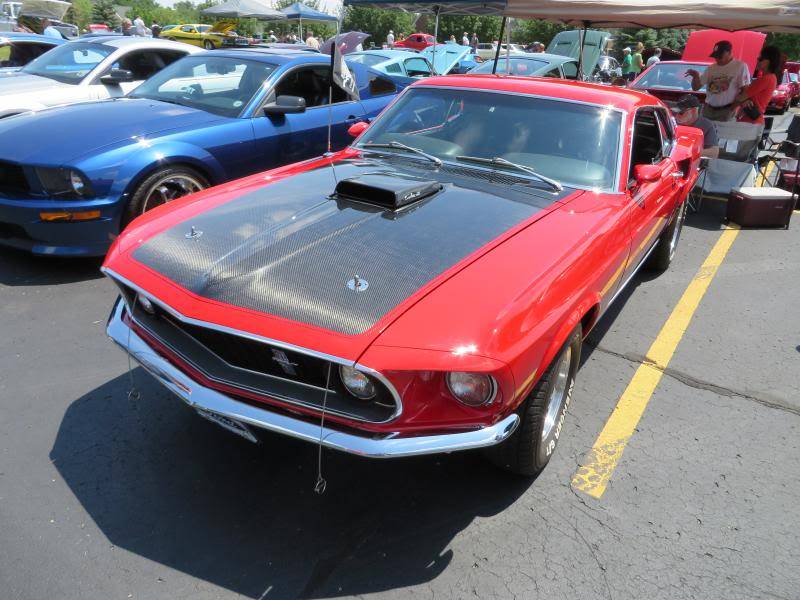 IMG_0376_zps8449534d.jpg
