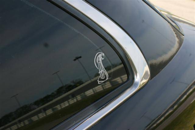 IMG_1050 (Small).JPG