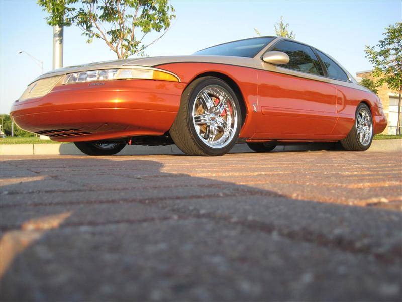 IMG_1731 (Medium).JPG