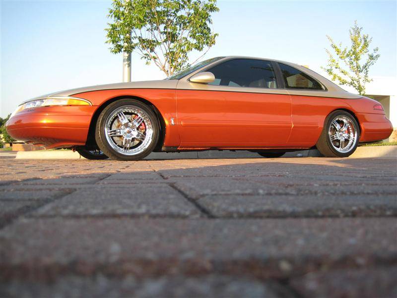 IMG_1733 (Medium).JPG