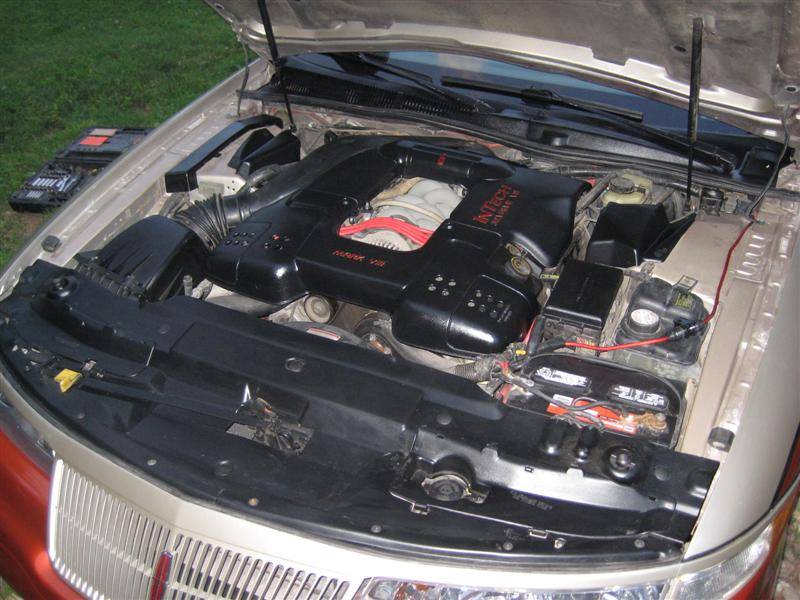IMG_1738 (Medium).JPG