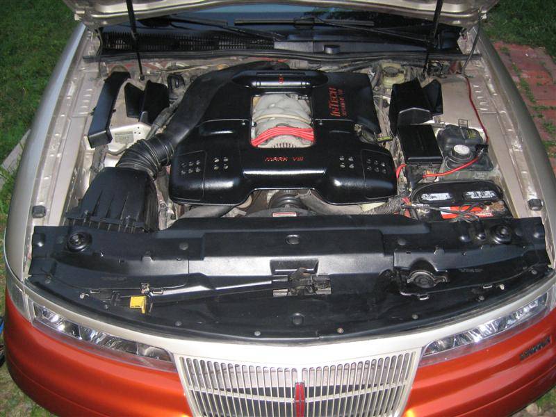 IMG_1741 (Medium).JPG