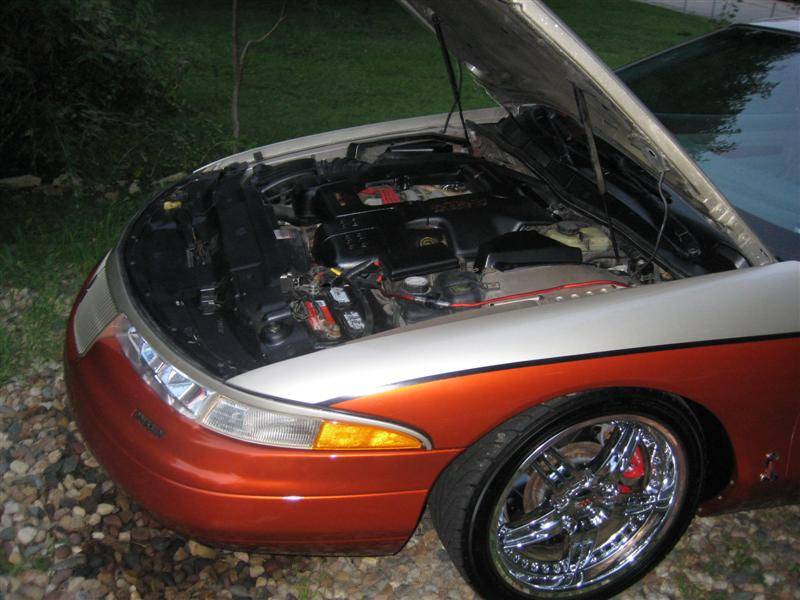 IMG_1743 (Medium).JPG