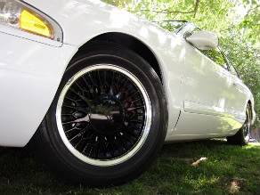 IMG_5142800x600.jpg