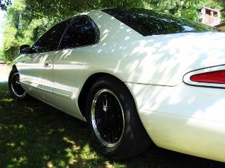 IMG_5152800x600.jpg