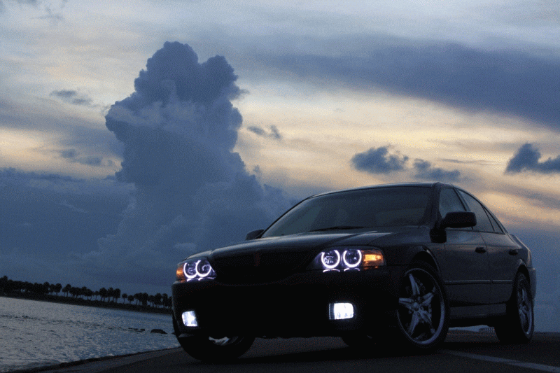 IMG_7686.gif