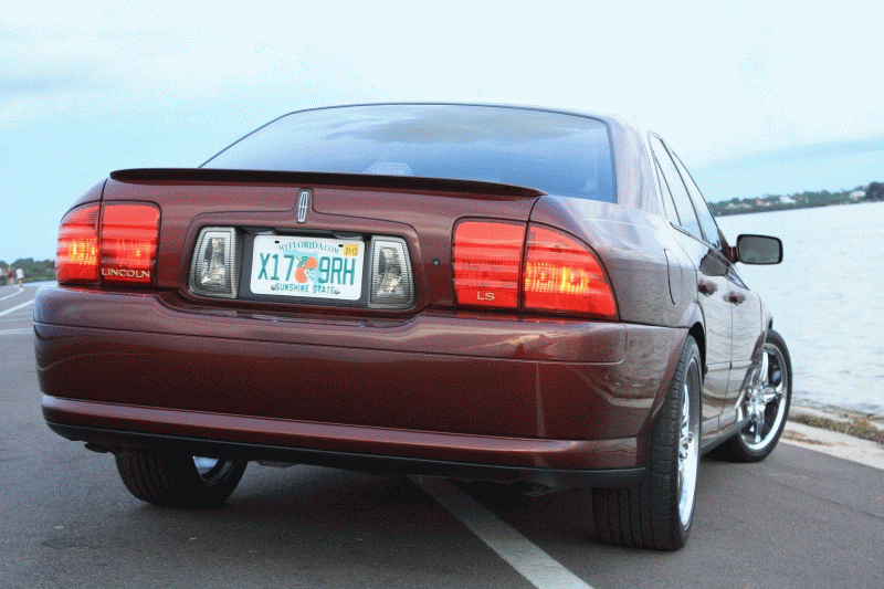 IMG_7688.gif
