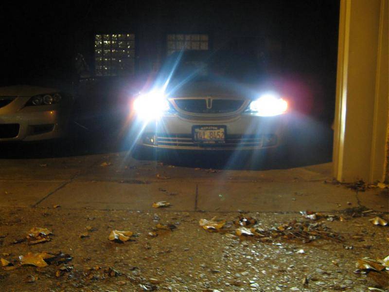 IMG_7811 (Large).jpg