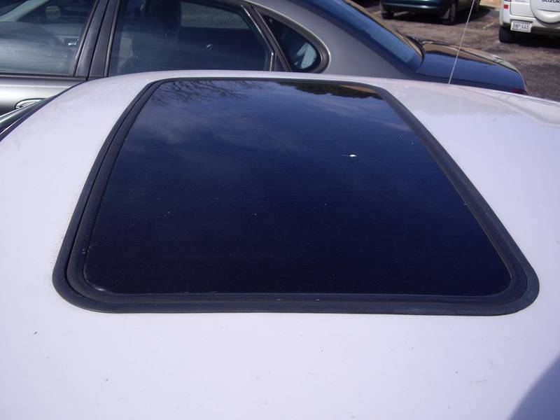 IMGP0440.jpg