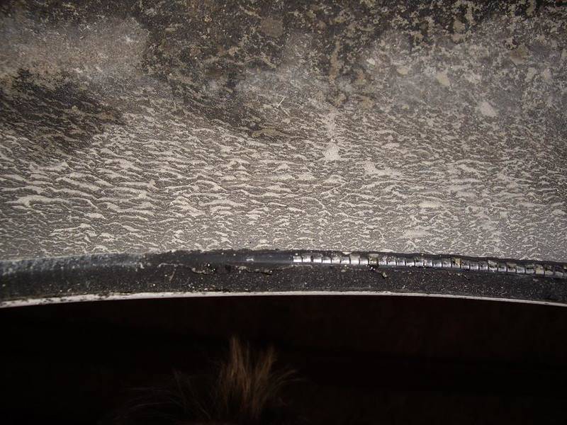IMGP0540.jpg