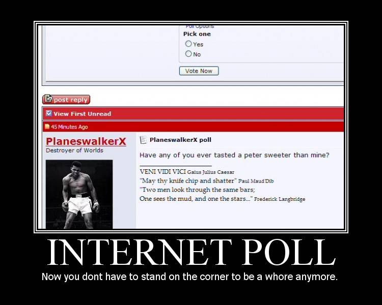 internet poll.jpg