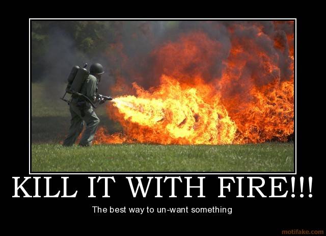 ith_fire_demotivational_poster_1235695993_RE_Mysterious_Creatures_Found_on_Earth-s580x419-232628.jpg